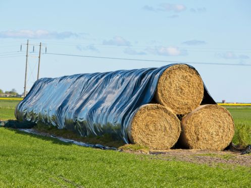 Silage tarps on a farm in Australia, protecting silage bales.
