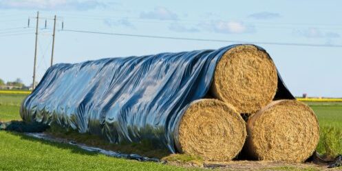 Silage tarps on a farm in Australia, protecting silage bales.